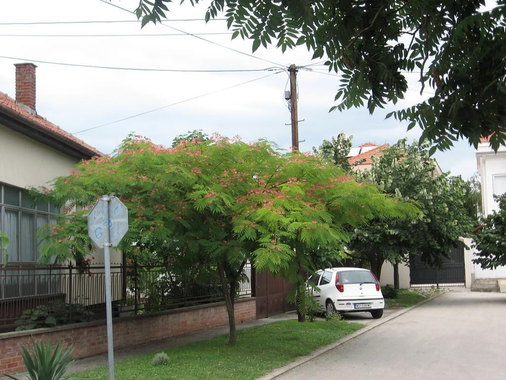 Green Apartment Újvidék Kültér fotó